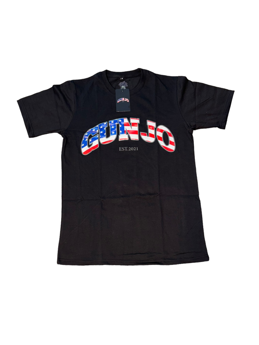 GUNJO STARS AND STRIPES TEE (BLACK)